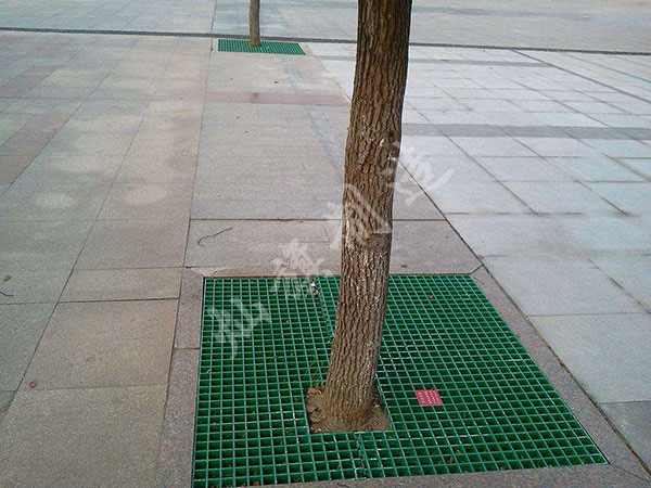 樹(shù)池蓋板圖片2